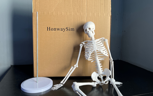 HonwaySim Founding Story
