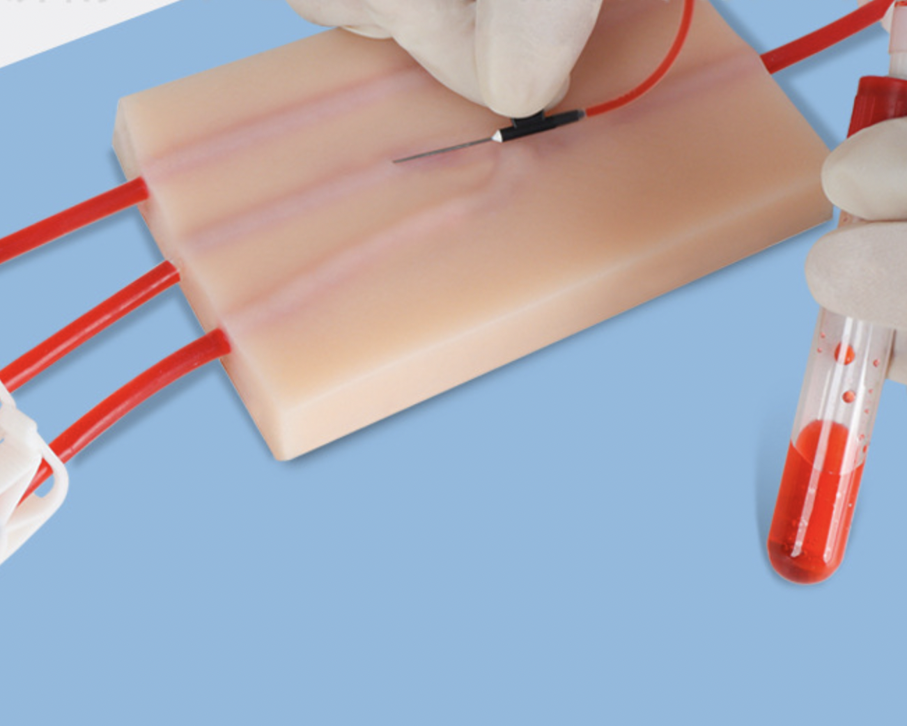 Central Line Training Model