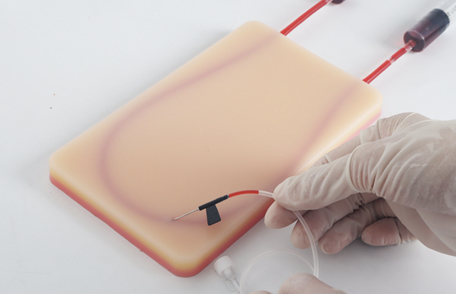 IV & Venipuncture Practice Pad