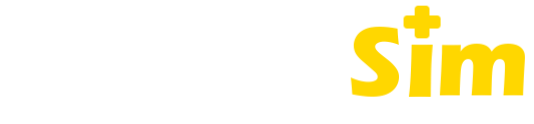 HonwaySim Logo